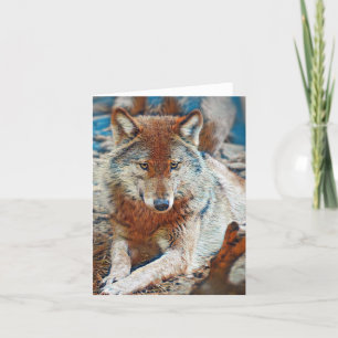 Tarjeta de saludo de lobo
