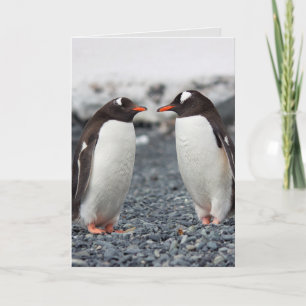 Tarjeta de saludo de los amigos de PENGUIN