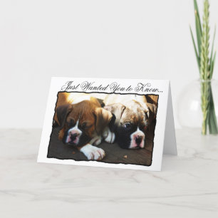 Tarjeta de saludo de los cachorros de Boxer Condol