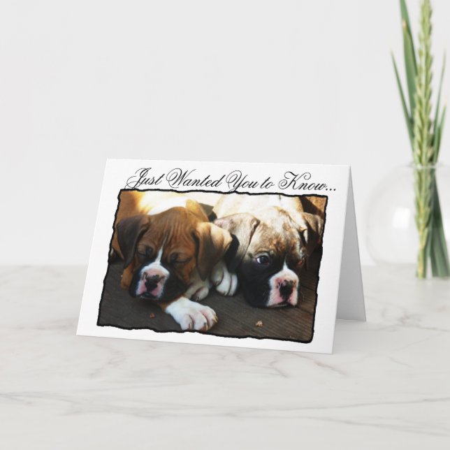 Tarjeta de saludo de los cachorros de Boxer Condol (Anverso)