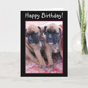 Tarjeta de saludo de los cachorros del Boxer Feliz