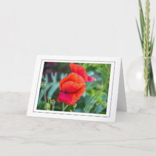 Tarjeta de saludo de los cachorros rojos