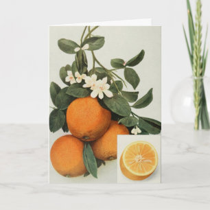 tarjeta de saludo de los naranjas