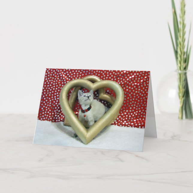 Tarjeta de saludo de Love Sabatini (Anverso)