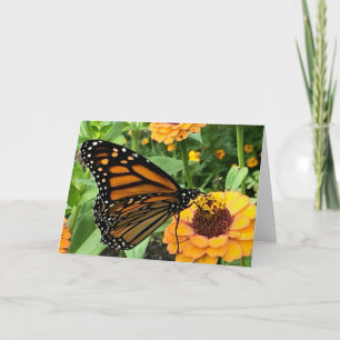 Tarjeta de saludo de mariposa colorida
