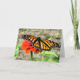 Tarjeta de saludo de mariposa colorida