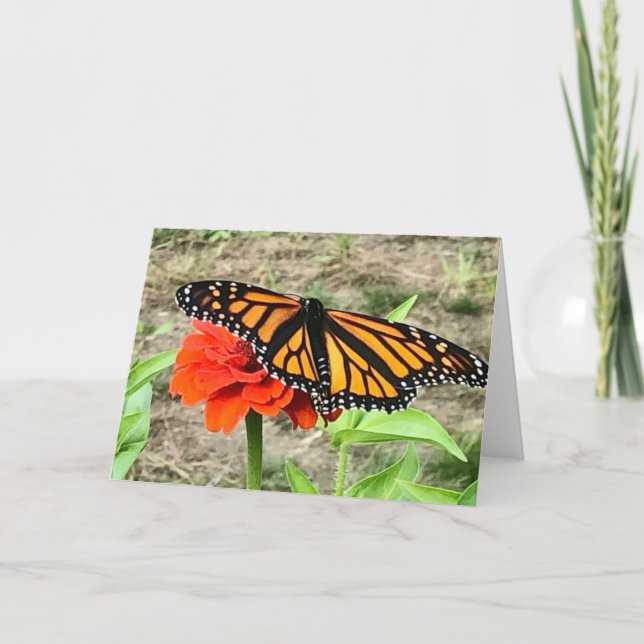 Tarjeta de saludo de mariposa colorida (Anverso)