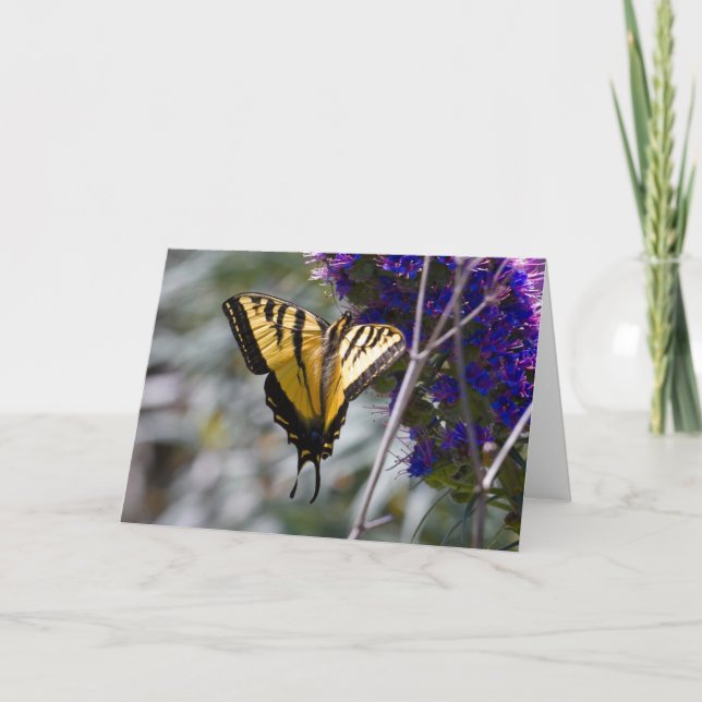 Tarjeta de saludo de mariposa de cola tragada (Anverso)