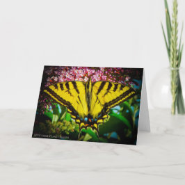 Tarjeta de saludo de mariposa de cola tragada