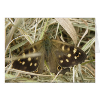 Tarjeta de saludo de mariposa de madera escamada
