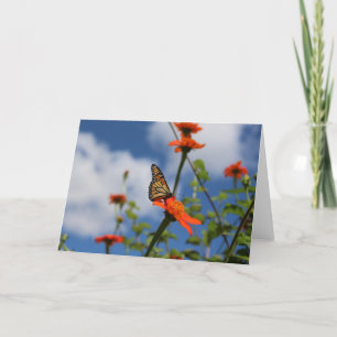Tarjeta de saludo de mariposa monarca