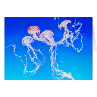 Tarjeta de saludo de Monterey Jellyfish