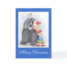 Tarjeta de saludo de Navidades de Terranova