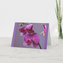 Tarjeta de saludo de orquídea púrpura rosa phalaen