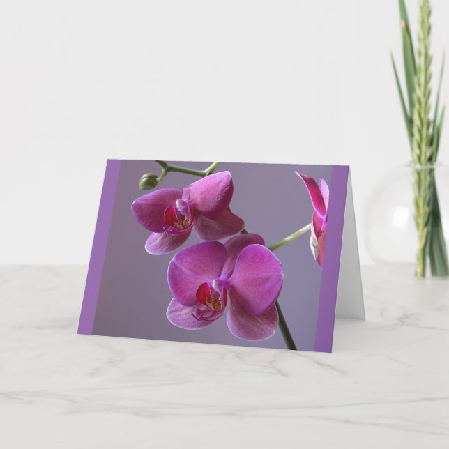 Tarjeta de saludo de orquídea púrpura rosa phalaen (Anverso)