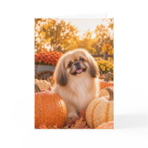 Tarjeta de saludo de otoño de Pekinés