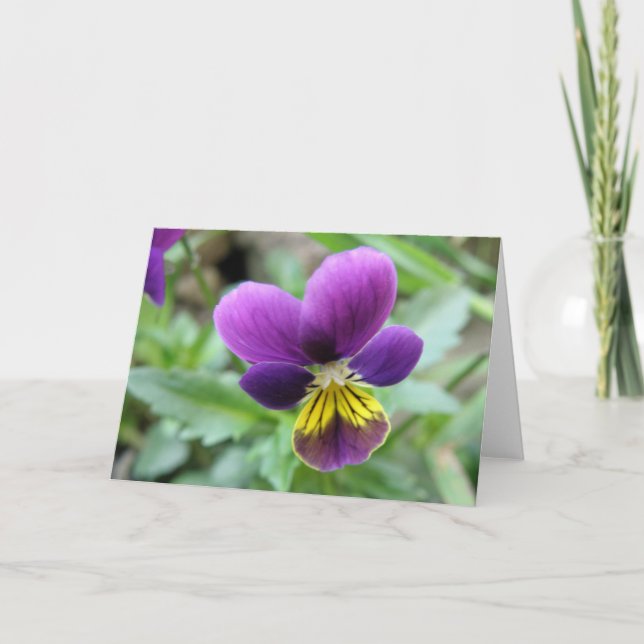Tarjeta de saludo de Pansy salvaje (Anverso)