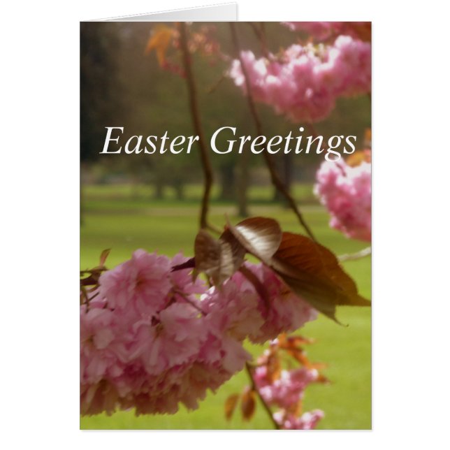 Tarjeta de saludo de Pascua con flores de árbol ro (Frente)