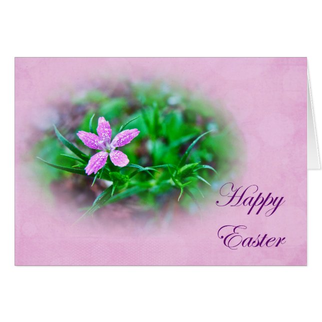 Tarjeta de saludo de Pascua - Flor silvestre rosa  (Anverso (Horizontal))