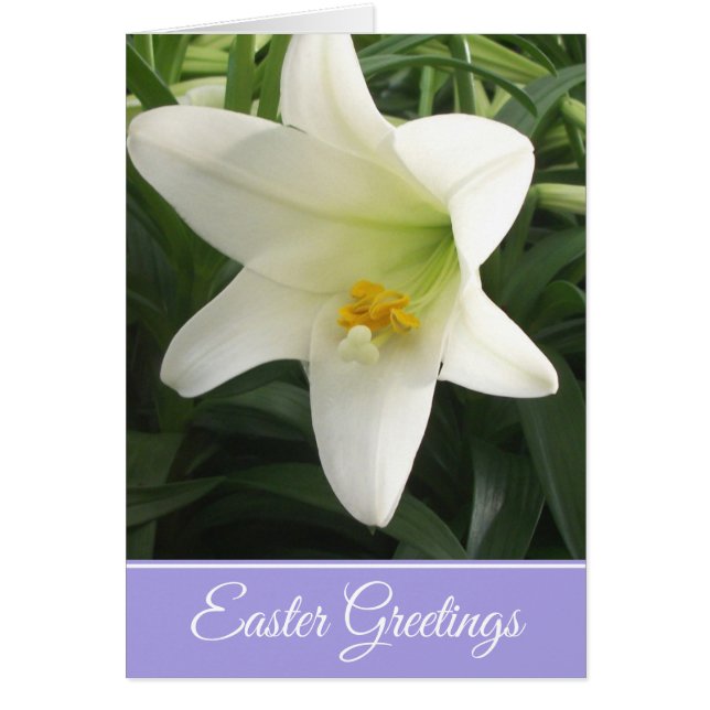 Tarjeta de saludo de Pascua Lily de Pascua (Frente)