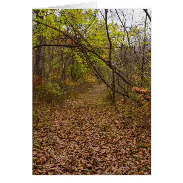 Tarjeta de saludo de Paseo de Otoño (Frente)