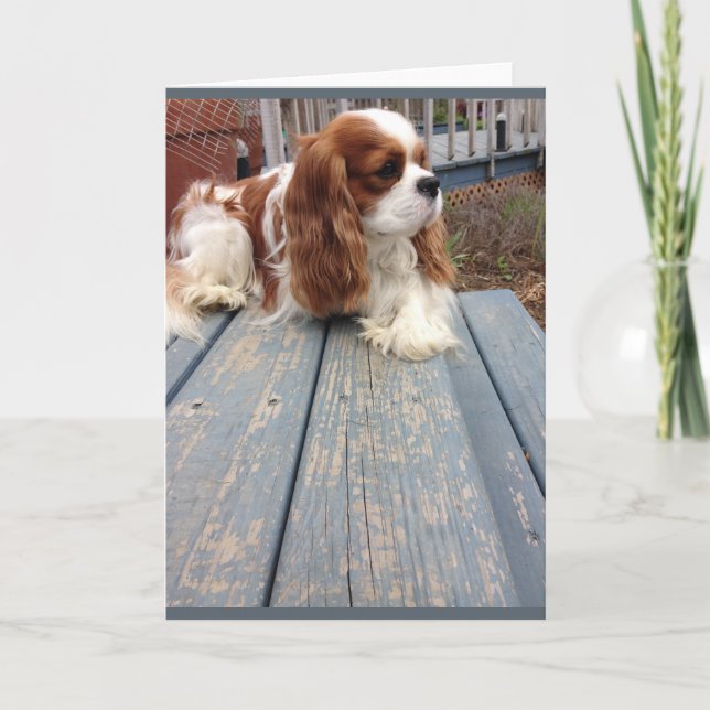 Tarjeta de saludo de perro (Anverso)