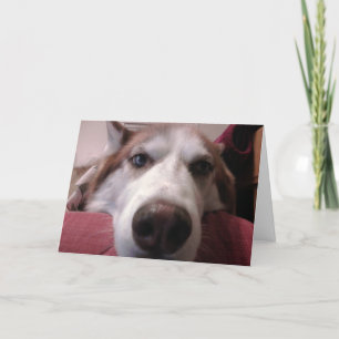 Tarjeta de saludo de perro