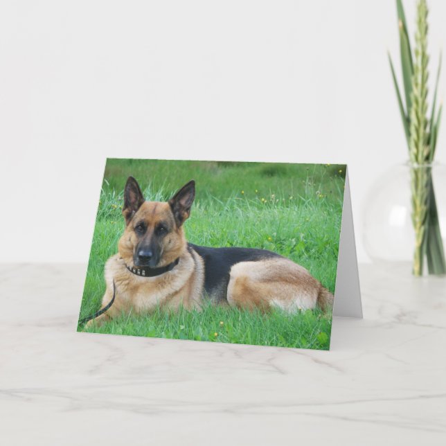 Tarjeta de saludo de perro (Anverso)