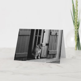 Tarjeta de saludo de perro afortunado de Personali