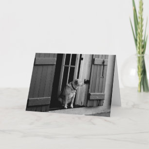 Tarjeta de saludo de perro afortunado de Personali