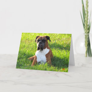 Tarjeta de saludo de perro Boxer