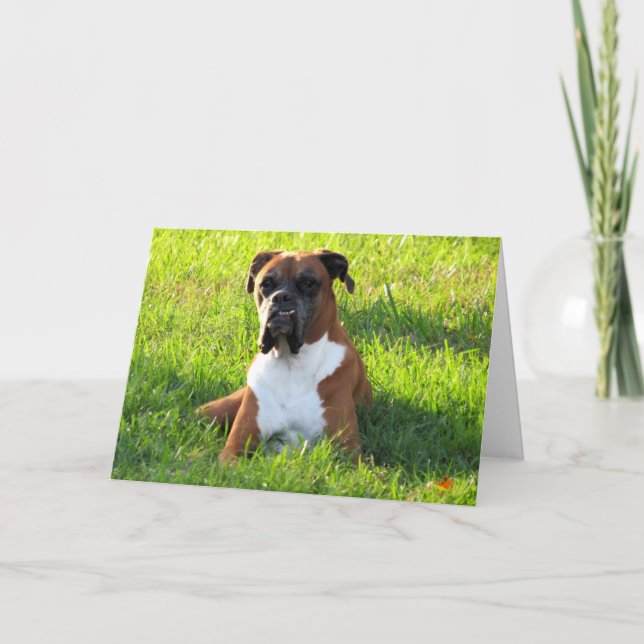 Tarjeta de saludo de perro Boxer (Anverso)