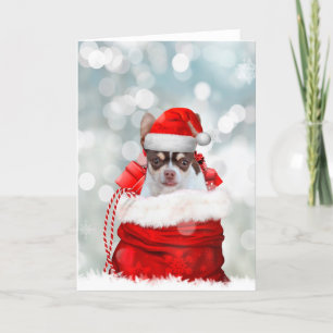 Tarjeta de saludo de perro Chihuahua Navidades