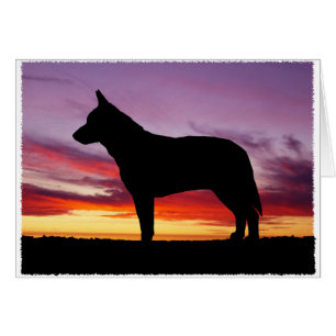 Tarjeta de saludo de perro de ganado australiano