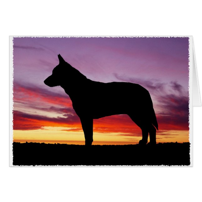 Tarjeta de saludo de perro de ganado australiano (Anverso (Horizontal))