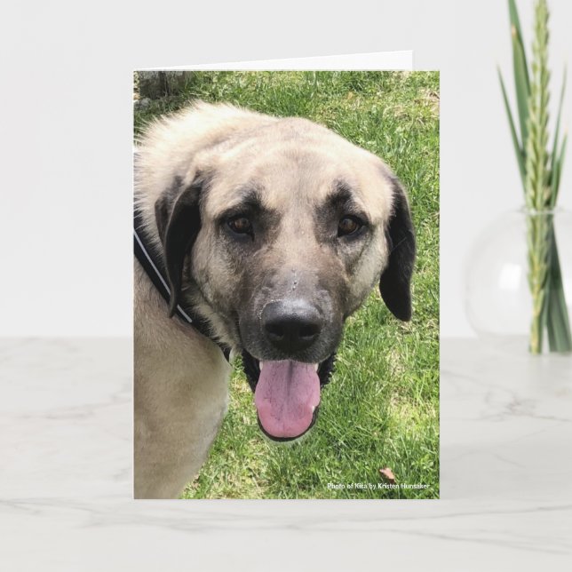 Tarjeta de saludo de perro de Kangal (Anverso)
