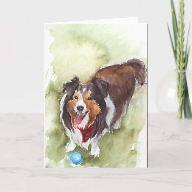 Tarjeta de saludo de perro de oveja Sheltie/Shetla (Anverso)