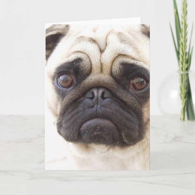 Tarjeta de saludo de perro de pug (Anverso)