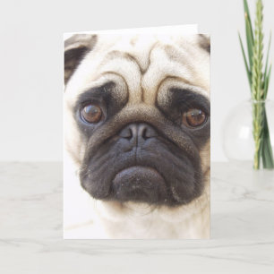 Tarjeta de saludo de perro de pug