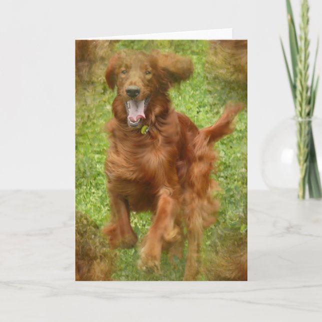 Tarjeta de saludo de perro de Setter Irlandés (Anverso)