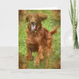 Tarjeta de saludo de perro de Setter Irlandés