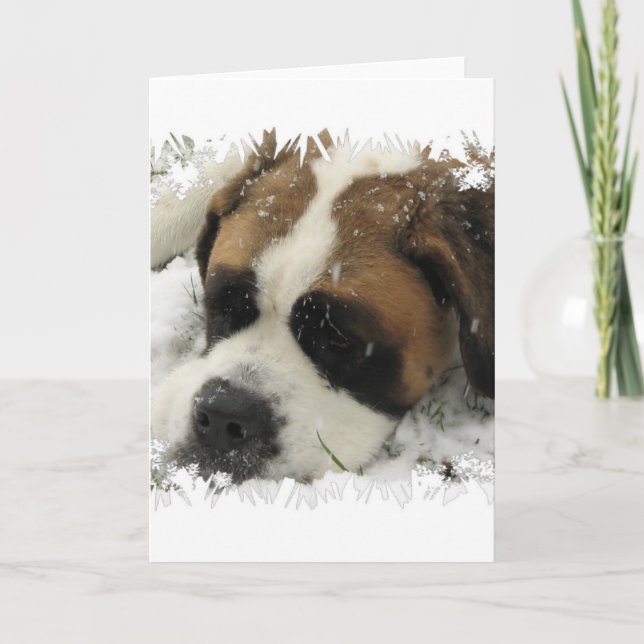 Tarjeta de saludo de perro de St Bernard (Anverso)