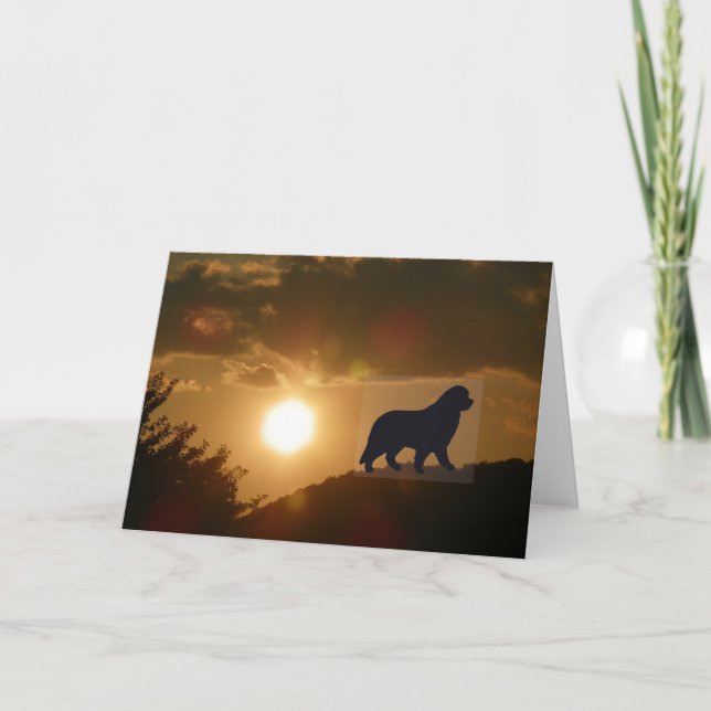 Tarjeta de saludo de perro de Terranova (Anverso)