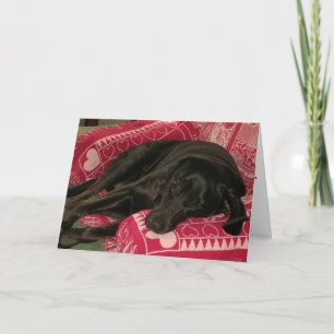 Tarjeta de saludo de perro dormido "Lo siento"