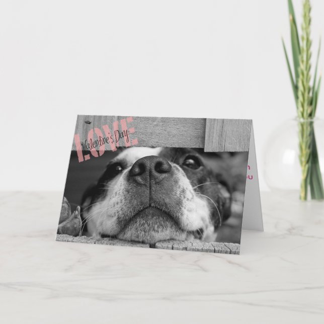 Tarjeta de saludo de perro el día de San Valentín (Anverso)