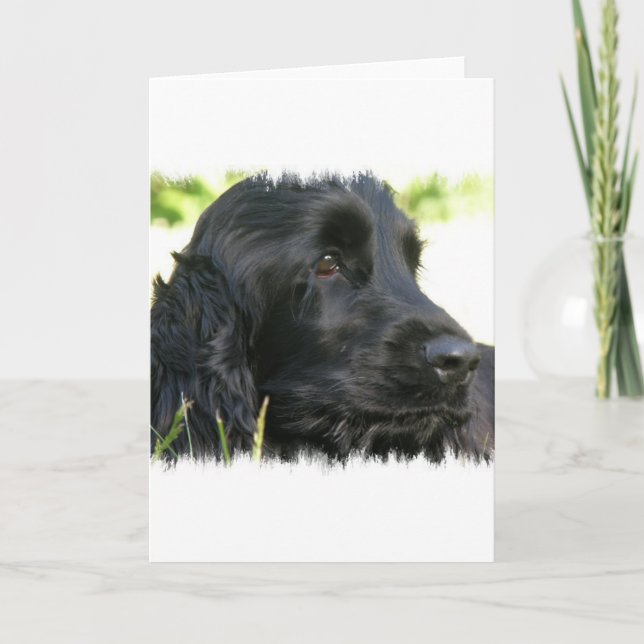 Tarjeta de saludo de perro español Cocker negro (Anverso)