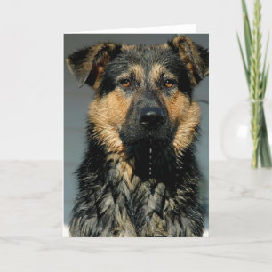 Tarjeta de saludo de perro pastor alemana
