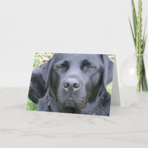Tarjeta de saludo de perro recuperadora de Labrado