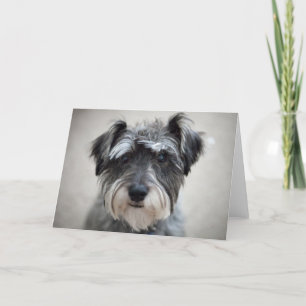 Tarjeta de saludo de perro Schnauzer