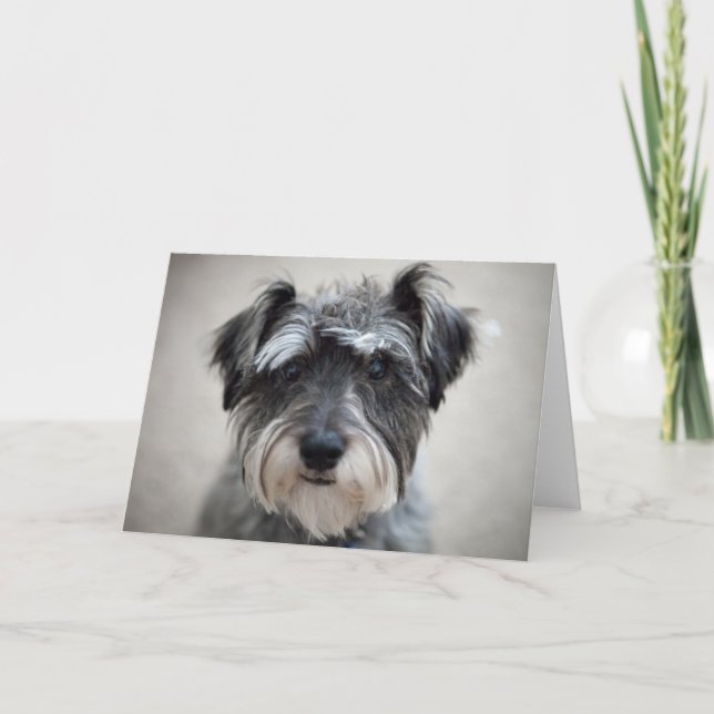 Tarjeta de saludo de perro Schnauzer (Anverso)
